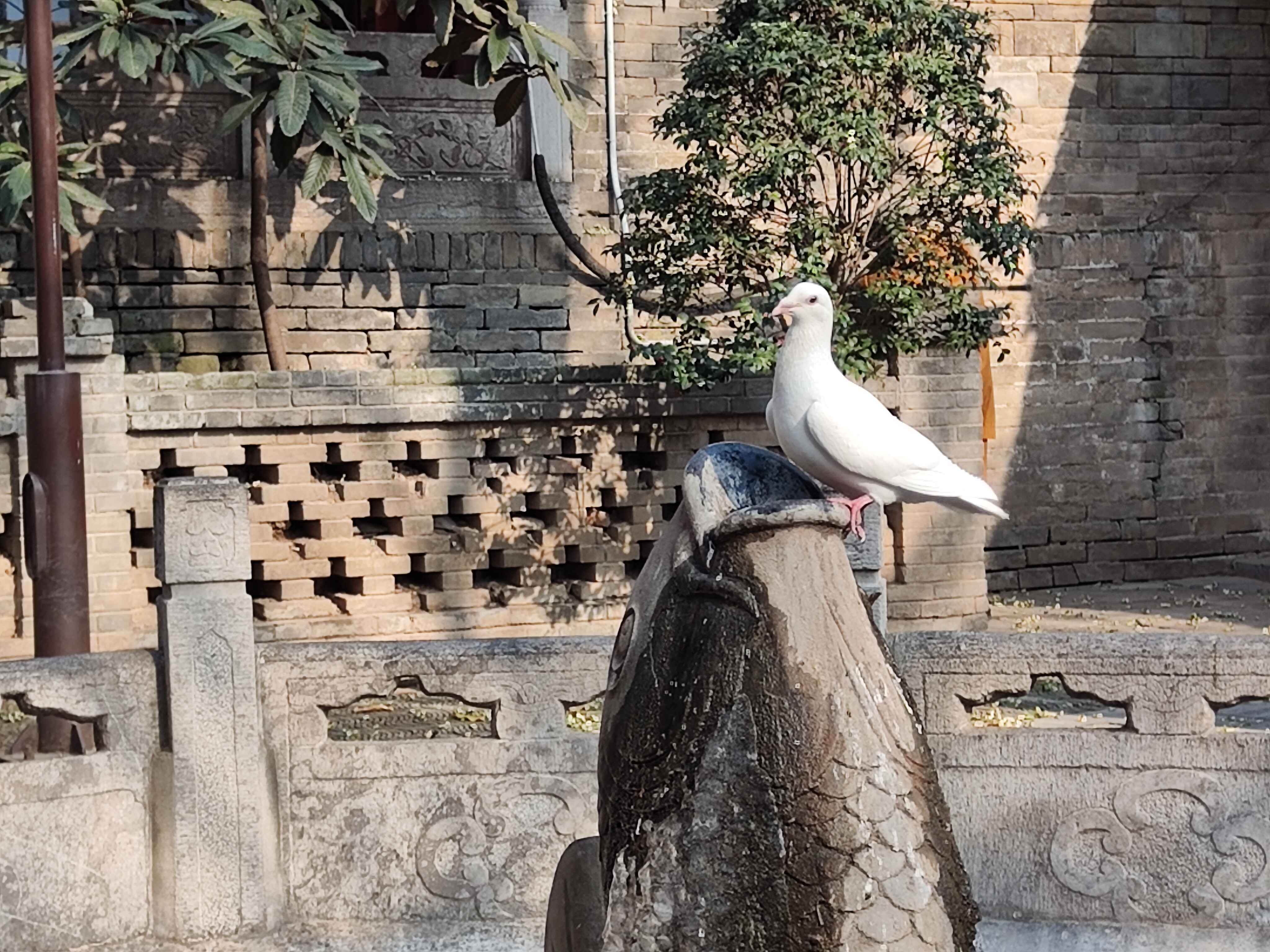191708324372956081.jpeg 兴善寺.jpg